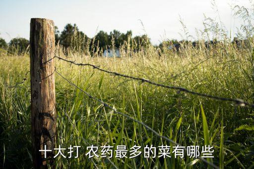 十大打 農(nóng)藥最多的菜有哪些