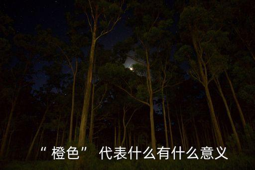 “ 橙色” 代表什么有什么意義