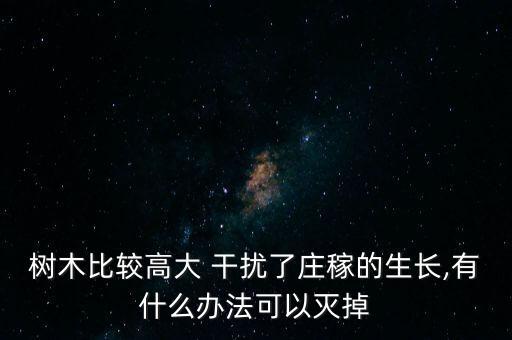 樹木比較高大 干擾了莊稼的生長,有什么辦法可以滅掉