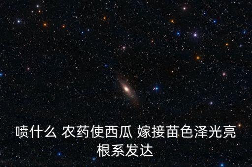 噴什么 農藥使西瓜 嫁接苗色澤光亮根系發達