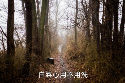  白菜心用不用洗