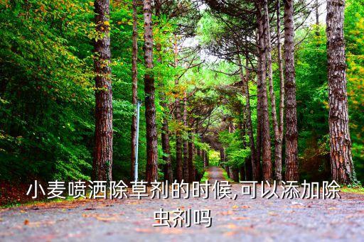 小麥噴農藥有什么作用,現在小麥打什么農藥