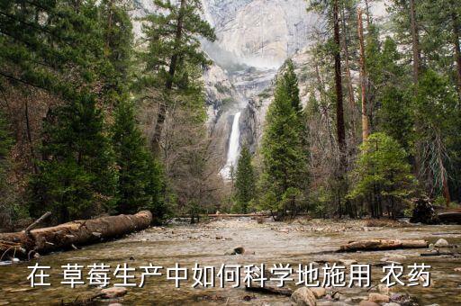 草莓為什么要噴農藥水