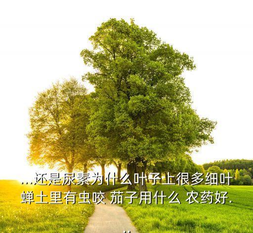 ...還是尿素為什么葉子上很多細葉蟬土里有蟲咬 茄子用什么 農藥好...