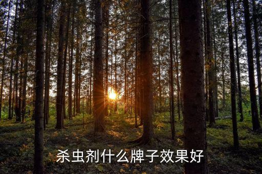 殺蟲劑什么牌子效果好
