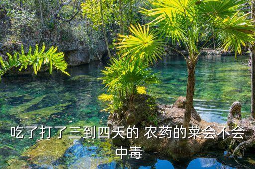 吃了打了三到四天的 農藥的菜會不會 中毒