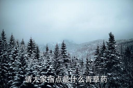 什么農(nóng)藥能打死青麻