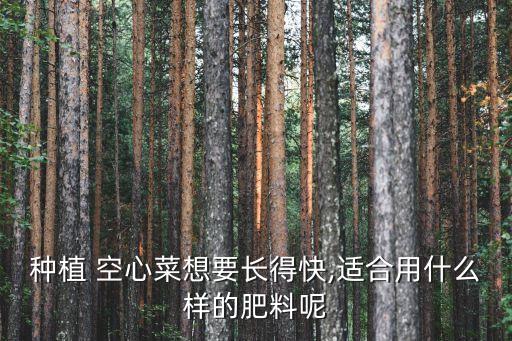 種植 空心菜想要長得快,適合用什么樣的肥料呢