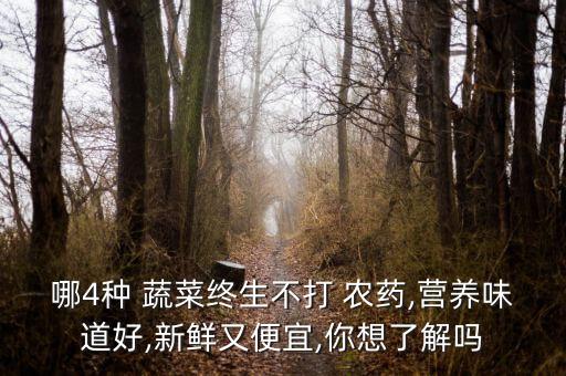 哪4種 蔬菜終生不打 農(nóng)藥,營養(yǎng)味道好,新鮮又便宜,你想了解嗎