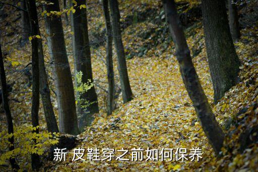 新 皮鞋穿之前如何保養(yǎng)