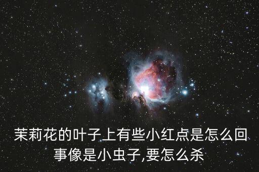 茉莉花的葉子上有些小紅點是怎么回事像是小蟲子,要怎么殺