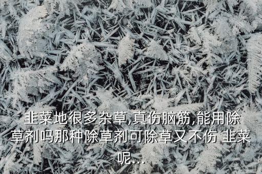  韭菜地很多雜草,真?zhèn)X筋,能用除草劑嗎那種除草劑可除草又不傷 韭菜呢...