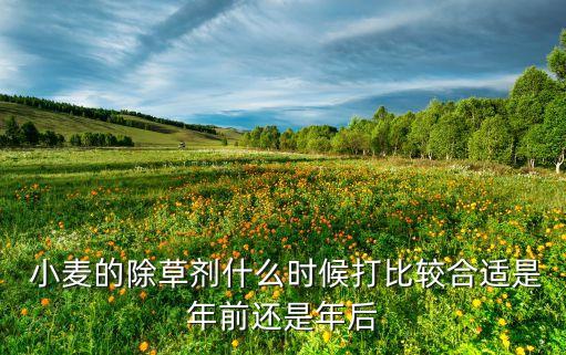 小麥什么時候需要打農藥