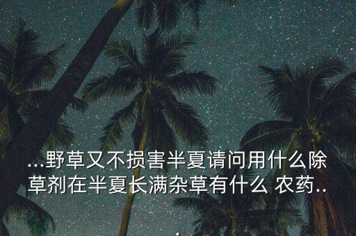 地里噴什么農藥最好,噴農藥殺蟲最好時間