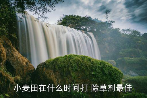 除草農藥什么時候打好,玉米除草什么時候打