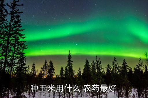 種玉米用什么 農藥最好