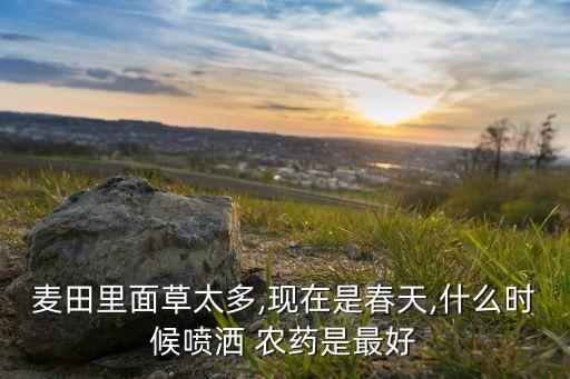 麥田里面草太多,現(xiàn)在是春天,什么時(shí)候噴灑 農(nóng)藥是最好