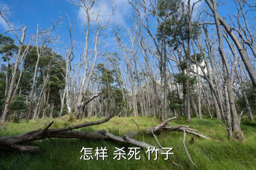 用什么農(nóng)藥能殺死竹子,有沒有什么農(nóng)藥可以殺死竹子
