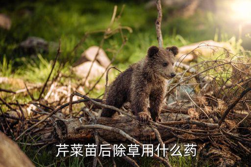  芹菜苗后除草用什么藥