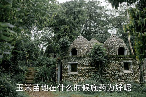  玉米苗地在什么時候施藥為好呢