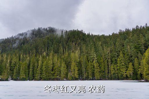 冬棗紅又亮 農藥