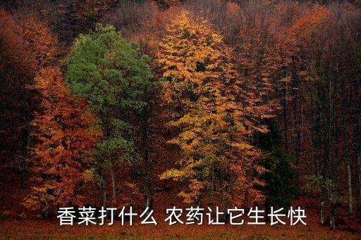  香菜打什么 農(nóng)藥讓它生長(zhǎng)快