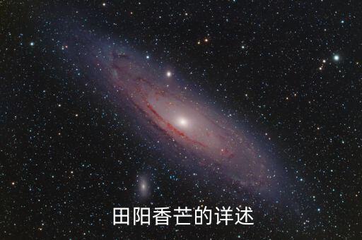  田陽香芒的詳述