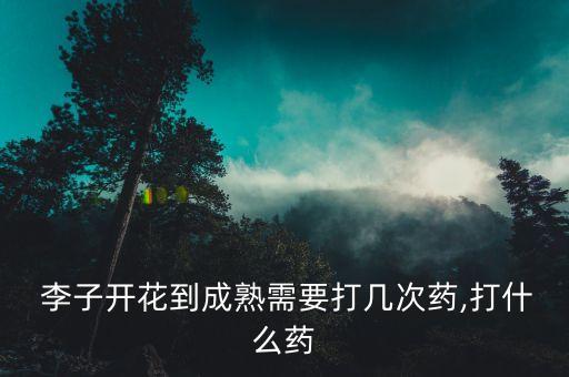  李子開花到成熟需要打幾次藥,打什么藥