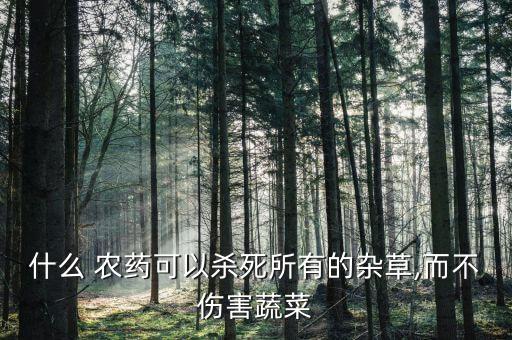 什么農(nóng)藥殺草種子最好,殺節(jié)節(jié)草用什么農(nóng)藥