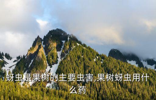 蚜蟲是果樹的主要蟲害,果樹蚜蟲用什么藥