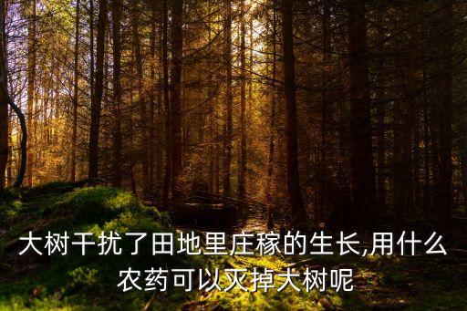 大樹干擾了田地里莊稼的生長,用什么 農藥可以滅掉大樹呢