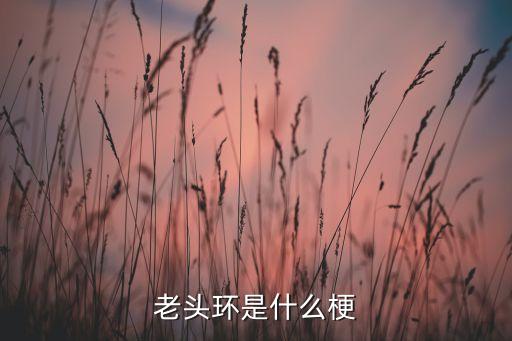 老頭環(huán)是什么梗