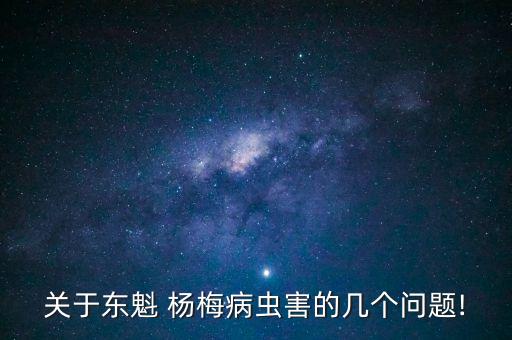楊梅果蟲用什么農藥,一月無蟲農藥有什么果效