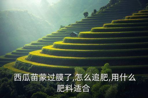  西瓜苗蒙過膜了,怎么追肥,用什么肥料適合
