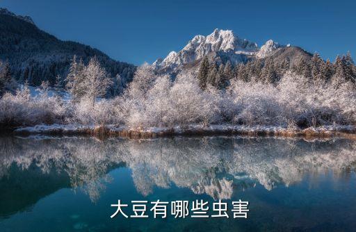 大豆蟲子用什么農藥,大豆打什么農藥最好