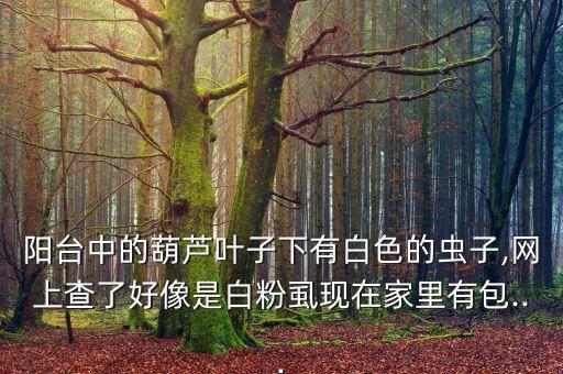農(nóng)精靈農(nóng)藥治什么蟲,農(nóng)賣農(nóng)藥在什么地方還可以買