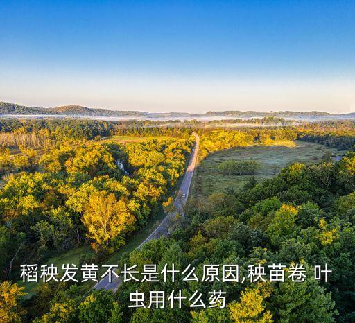 水稻有卷葉蟲噴什么農(nóng)藥,水稻卷葉蟲噴什么農(nóng)藥?