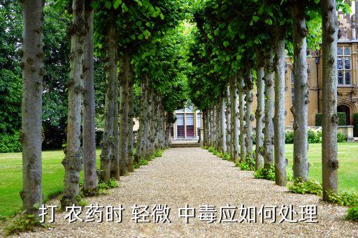 打 農藥時 輕微 中毒應如何處理