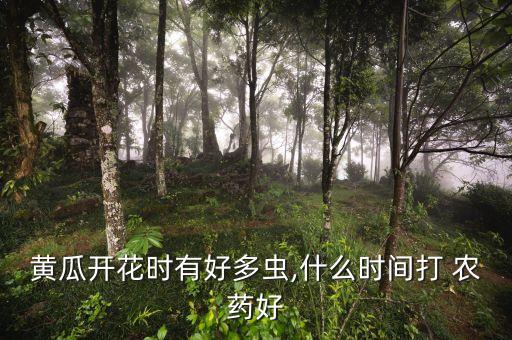 什么蔬菜噴灑農藥最多,蔬菜噴灑農藥是早上好還是傍晚好