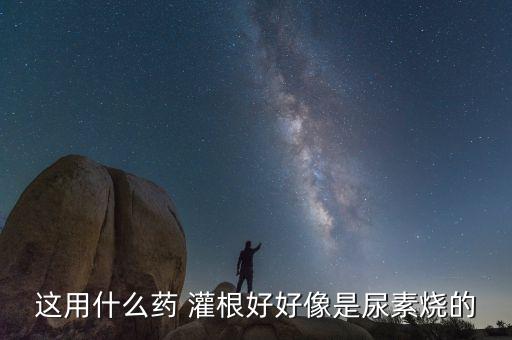 這用什么藥 灌根好好像是尿素燒的