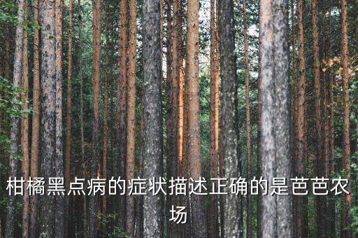 柑橘黑點病的癥狀描述正確的是芭芭農場