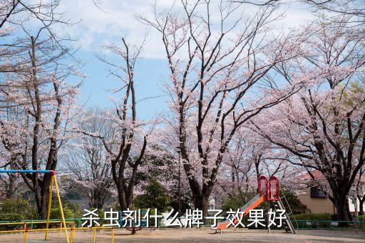 用什么農藥可以殺蟲最好,噴農藥殺蟲最好時間