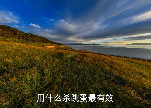 什么農藥殺跳騷好,毛蟲用什么農藥噴殺