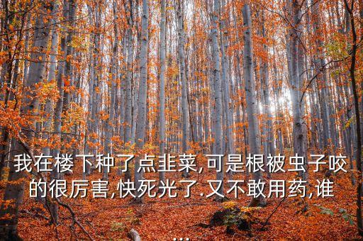 農藥3911叫什么,3911農藥圖片