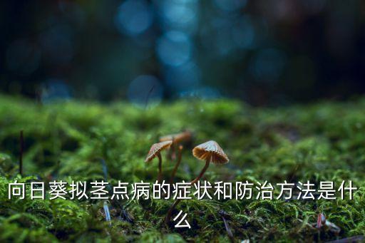 向日葵擬莖點病的癥狀和防治方法是什么