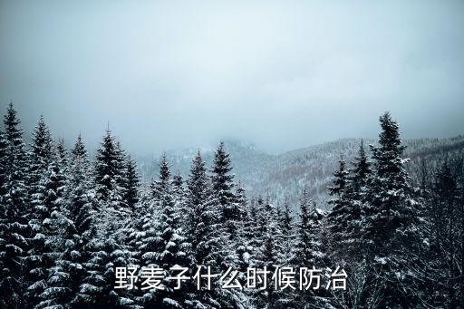 野麥子什么時(shí)候防治
