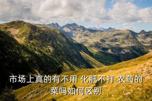拒絕農(nóng)藥化肥是什么意思,農(nóng)藥化肥利用率是什么意思