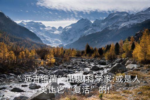農藥遠古生物是什么,世界上最大的遠古生物是什么