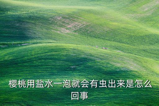 櫻桃為什么不打農藥,櫻桃會不會打農藥