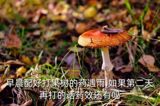 早晨配好打果樹的藥遇雨,如果第二天再打的話藥效還有嗎